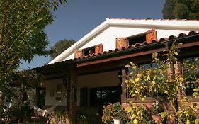 Casa Magnolia